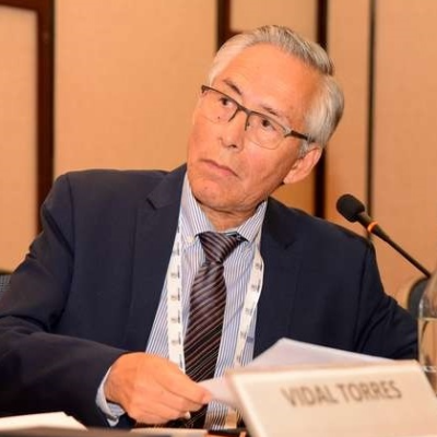 Vidal Torres Manager and Senior Researcher Mining Area, Vale Institute of Technology, Brazil